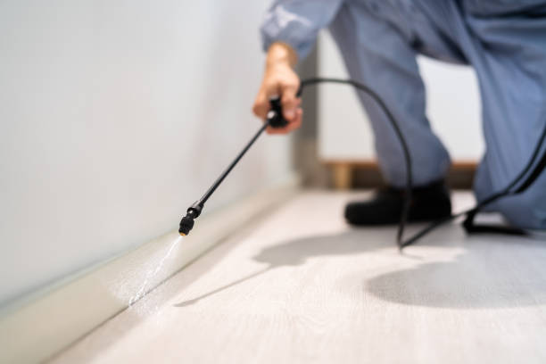 Licensed Pest Control service in Big Sky, MT - Show Me Pest Control