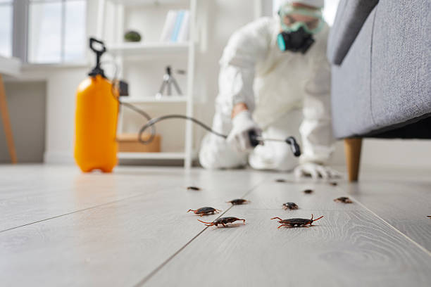 Commercial Kitchen Cockroach Control in Big Sky